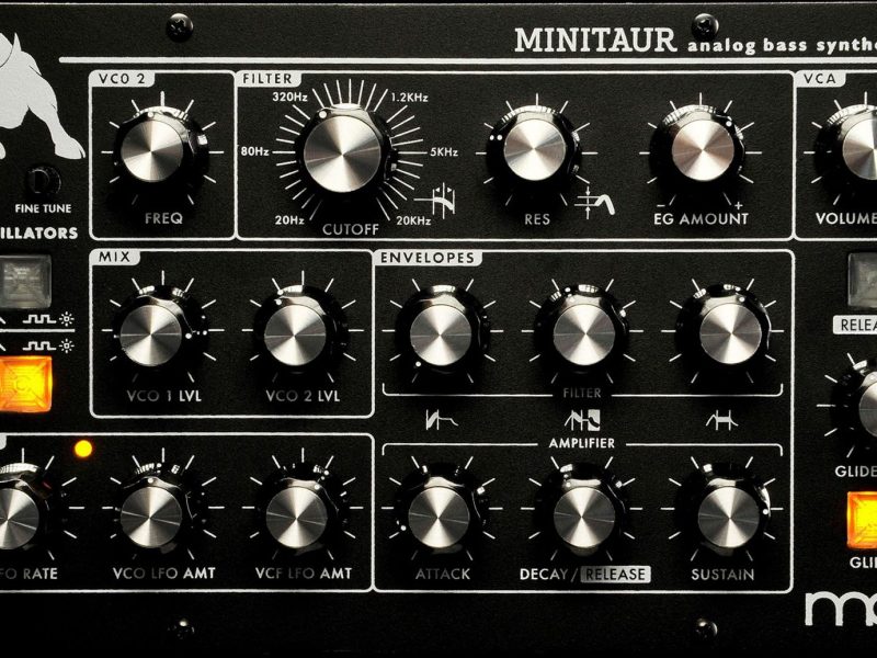 Moog Minitaur